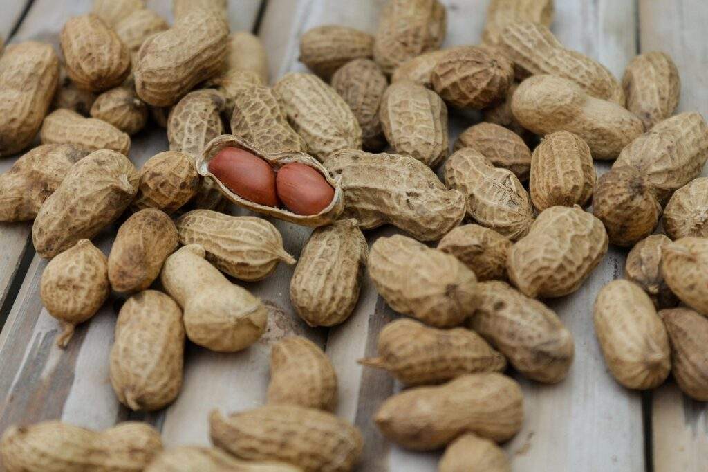(lending 3) Confused About Supplements? We Make Nutrition Simple. peanuts 1850809 1280